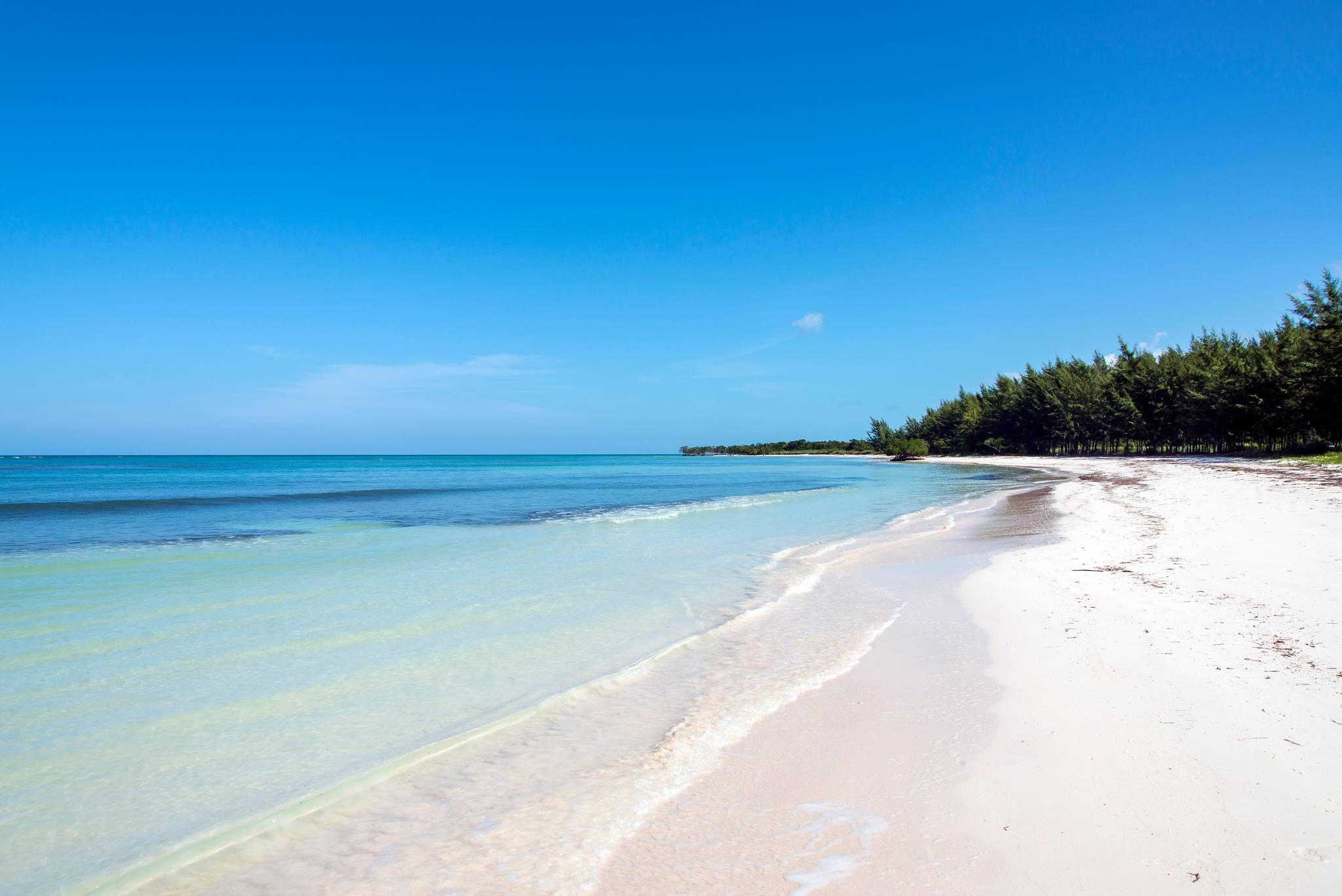 Cayo Jutias in Cuba