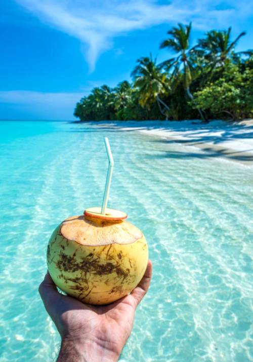 noce di cocco in riva al mare