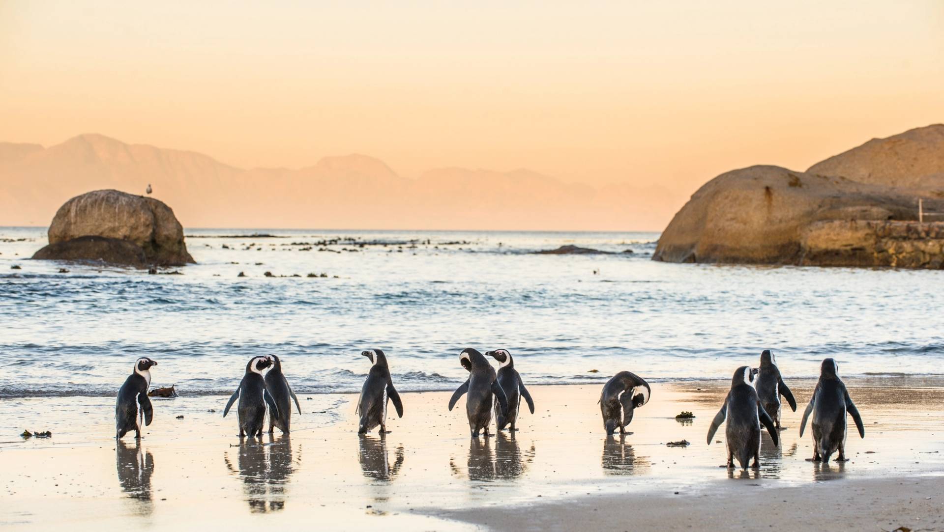 cape town