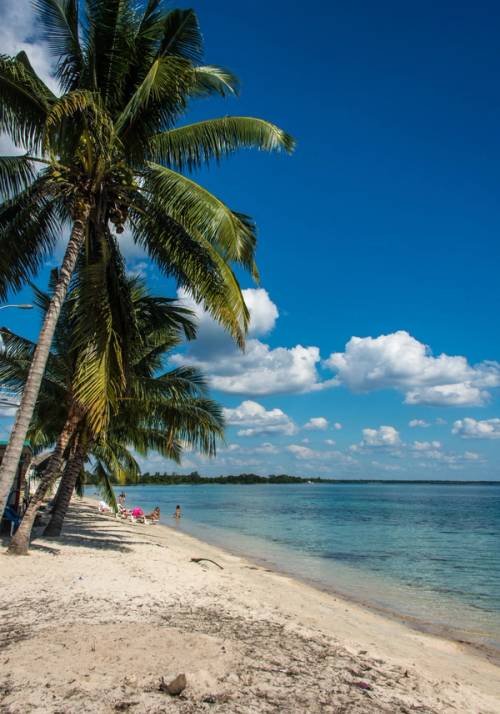 Bay of Pigs beach
