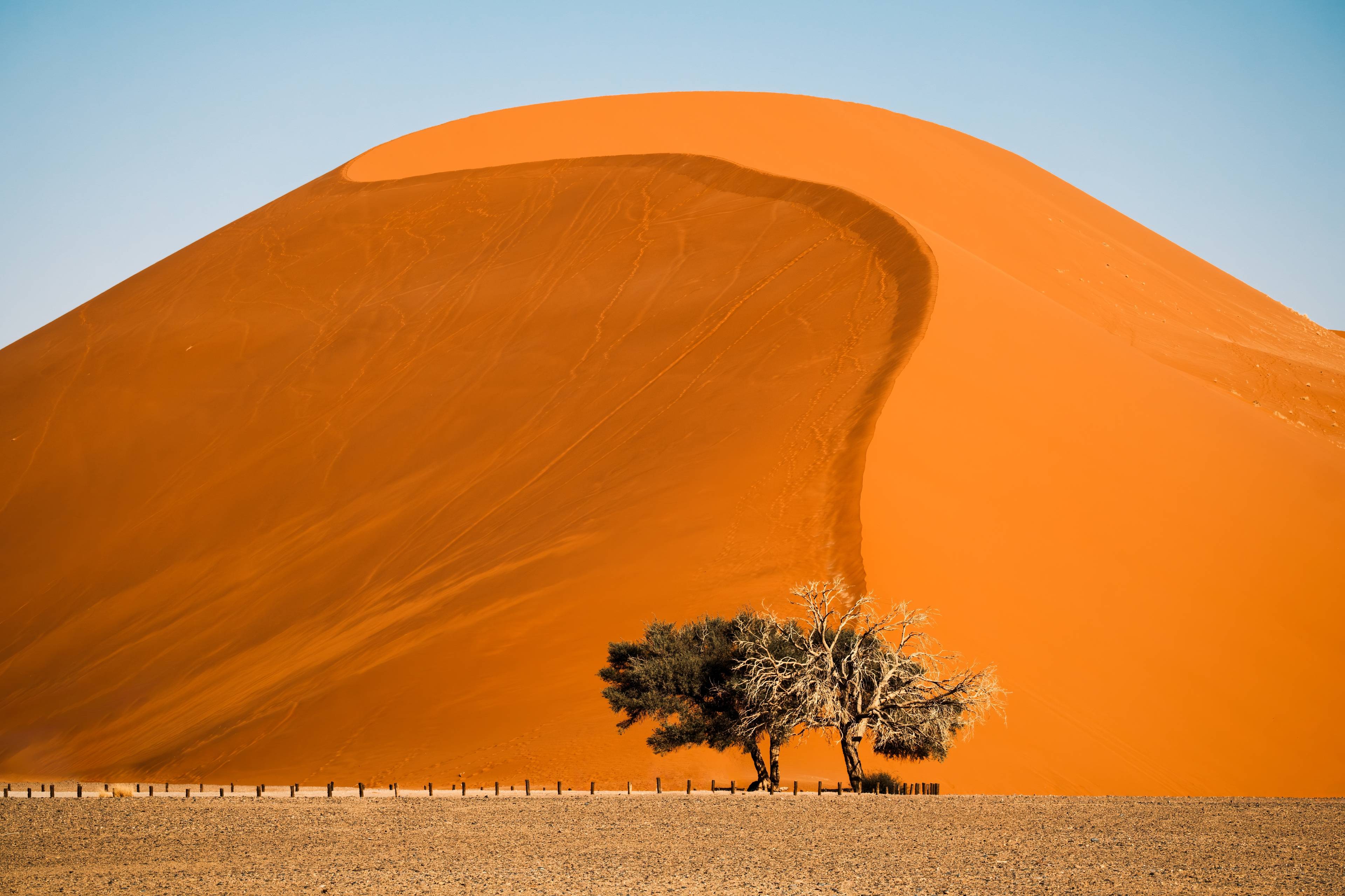  DESERTO DEL NAMIB: SOSSUSVLEI, DEAD VLEI & SESRIEM CANYON
