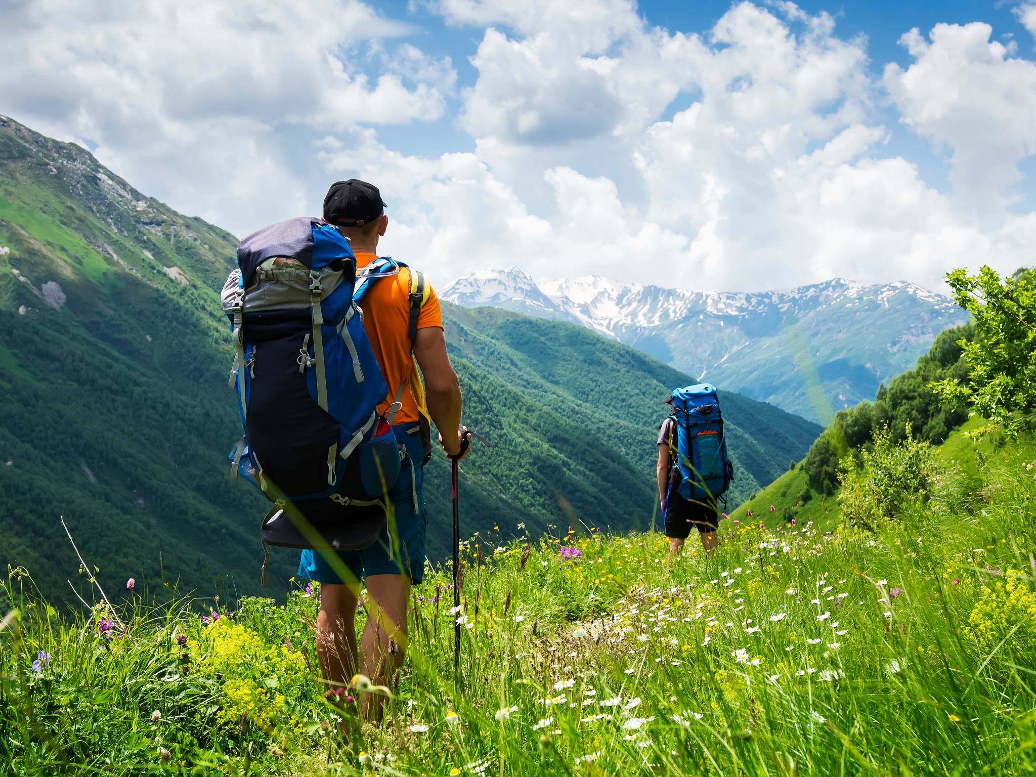 Trekking in Georgia cover