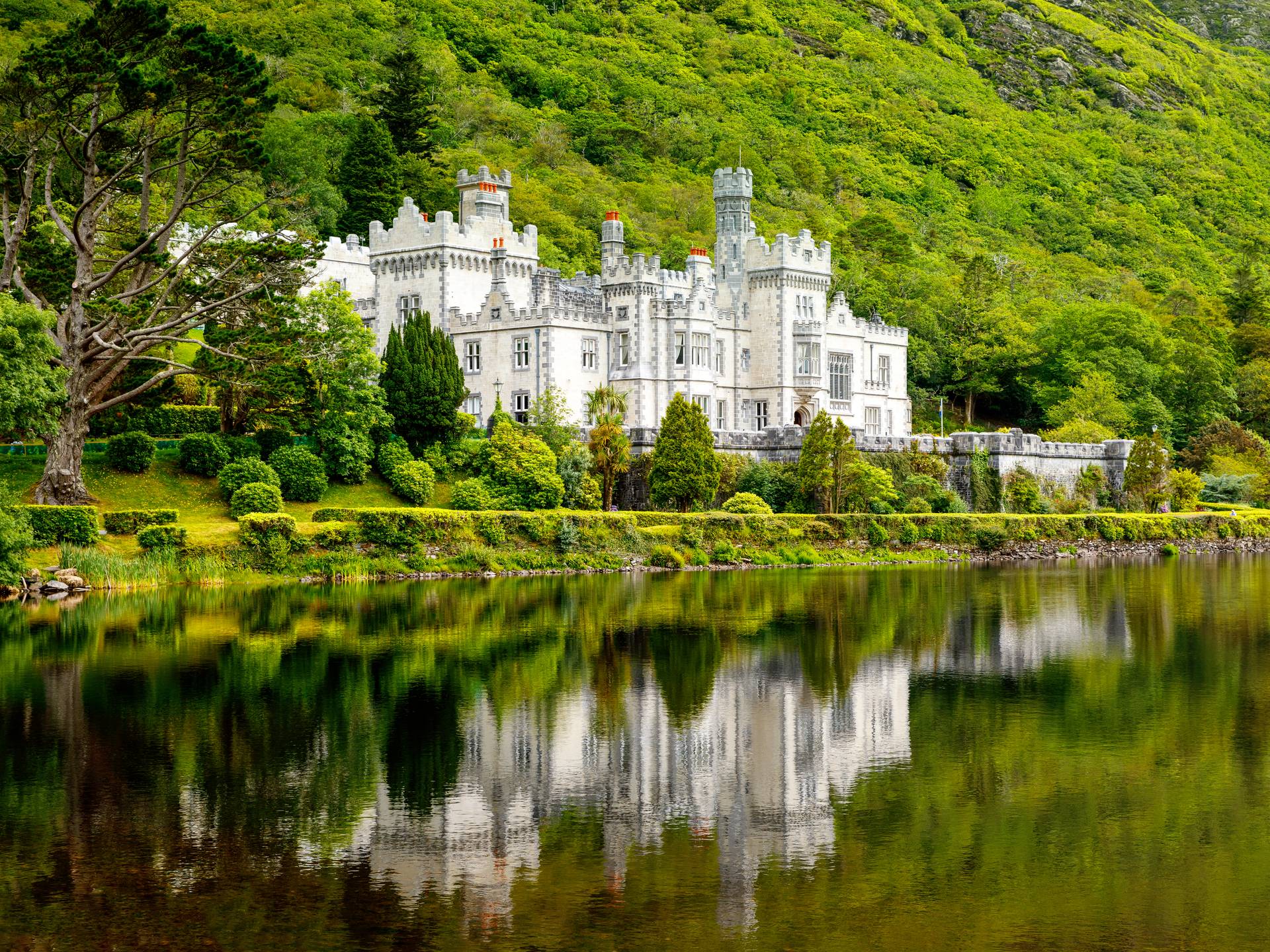 Tour dell'Irlanda: dalle scogliere di Moher al Ring of Kerry cover