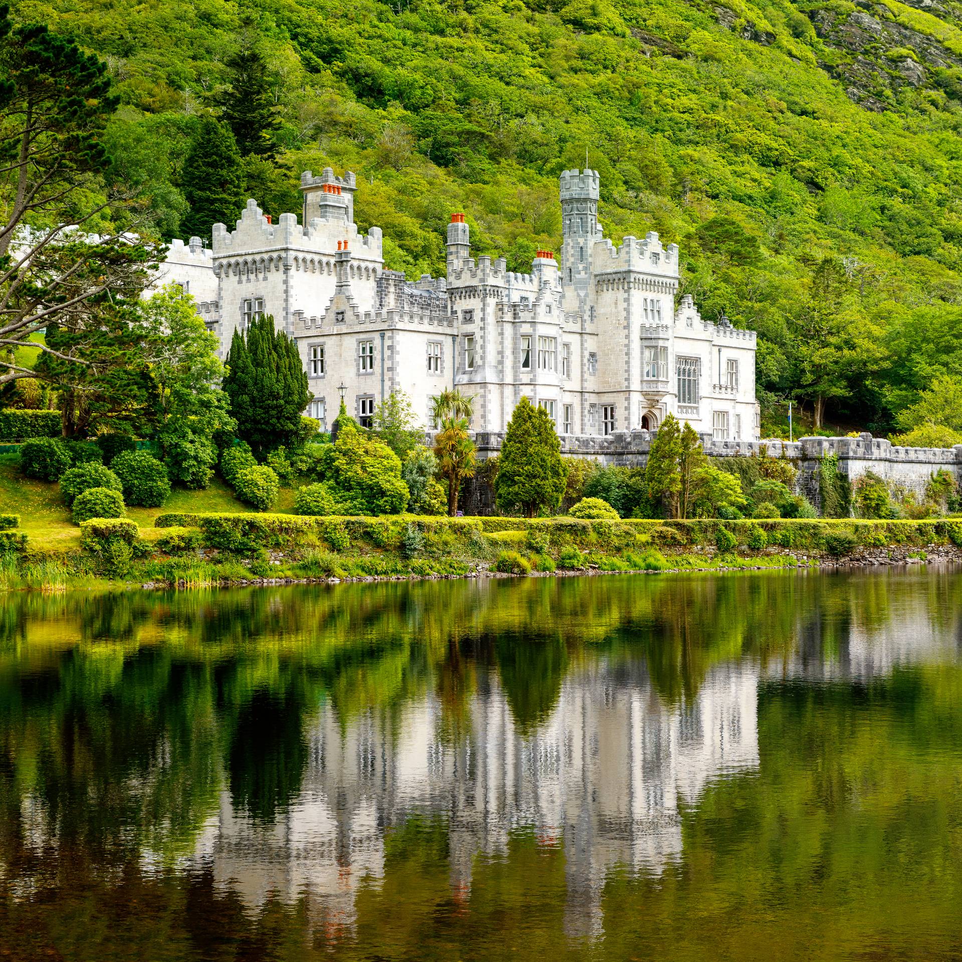 Tour dell'Irlanda: dalle scogliere di Moher al Ring of Kerry