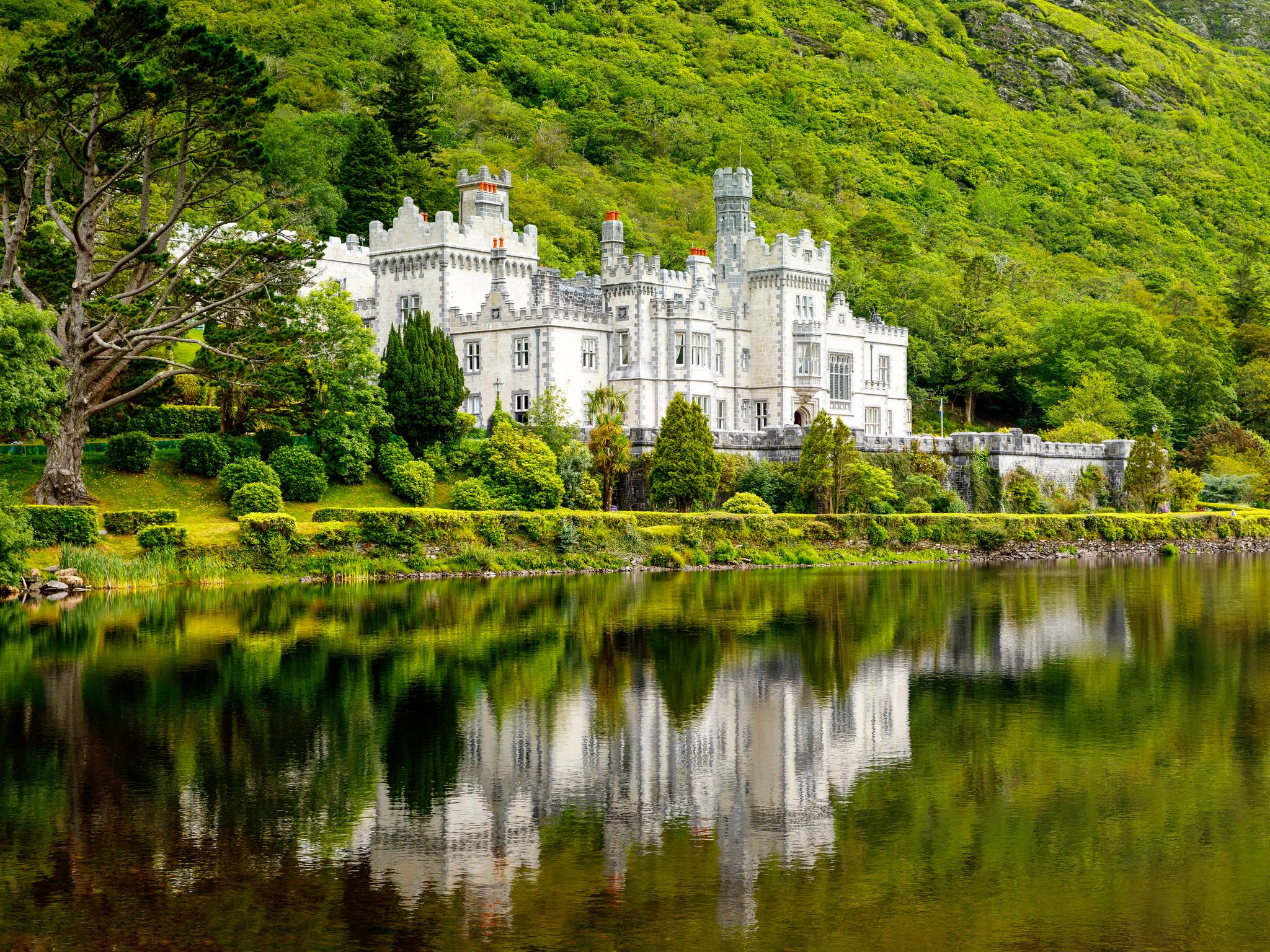 Tour dell'Irlanda cover