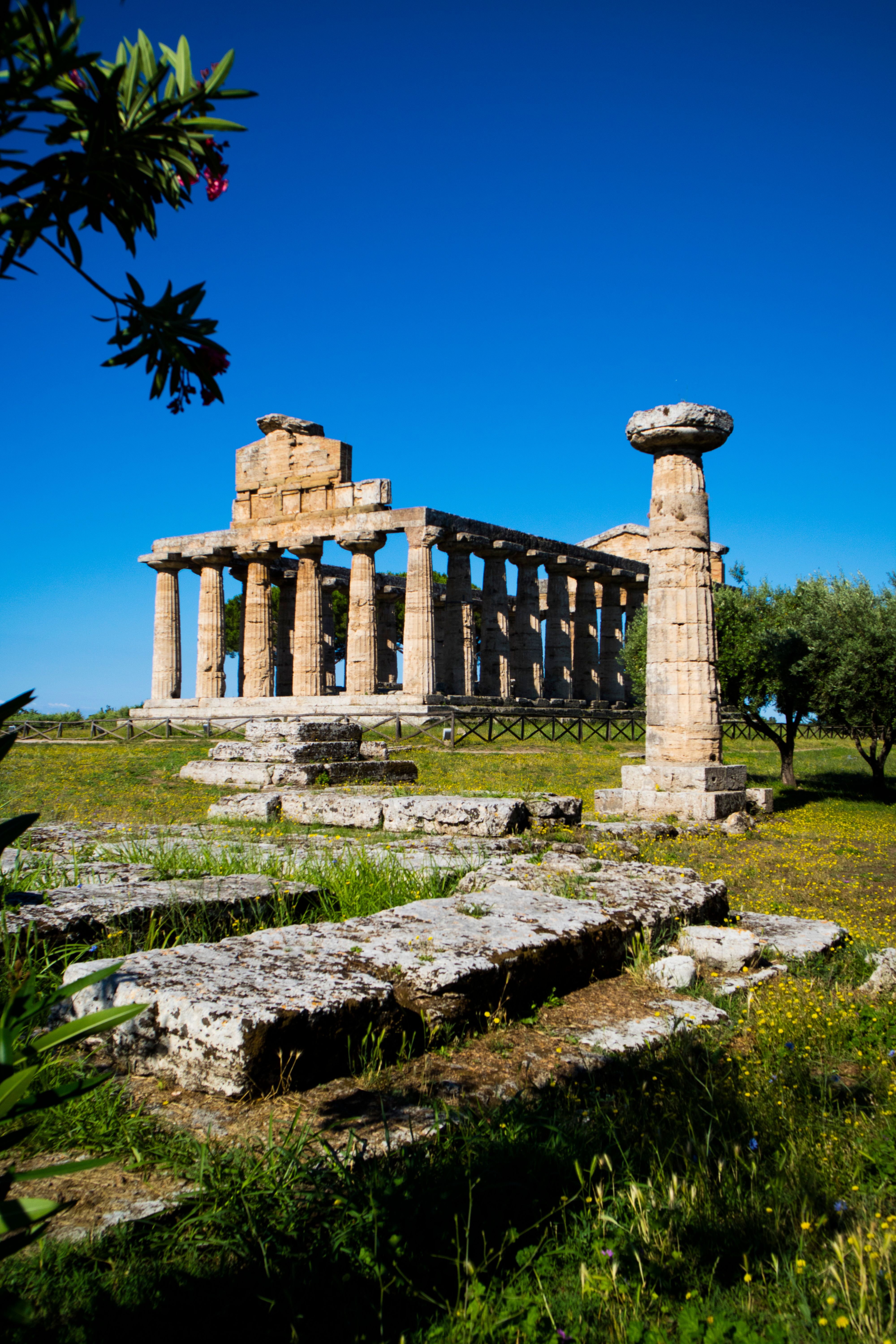 tempio di era a paestum