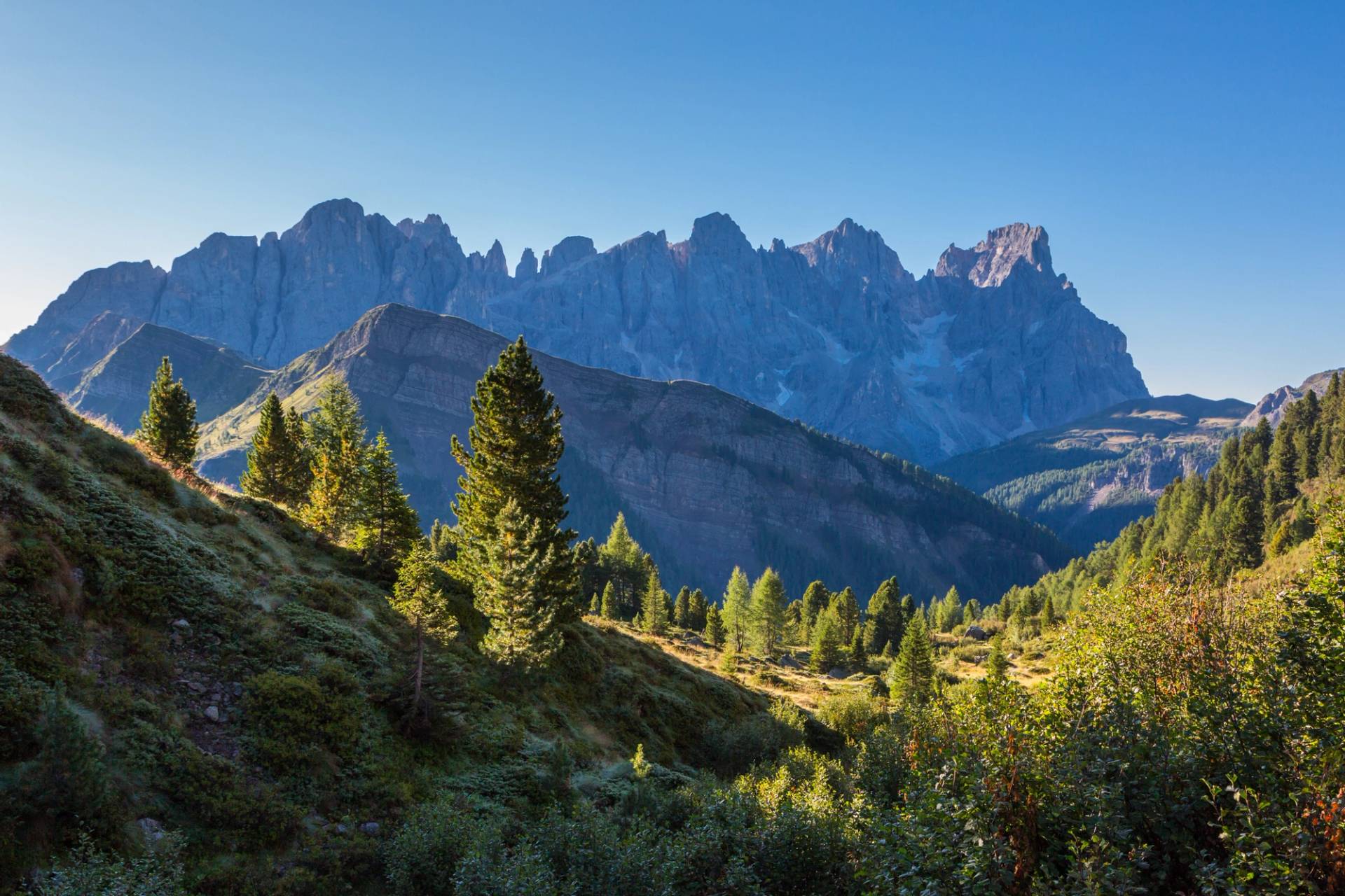 pale di san martino nel parco naturale paneveggio
