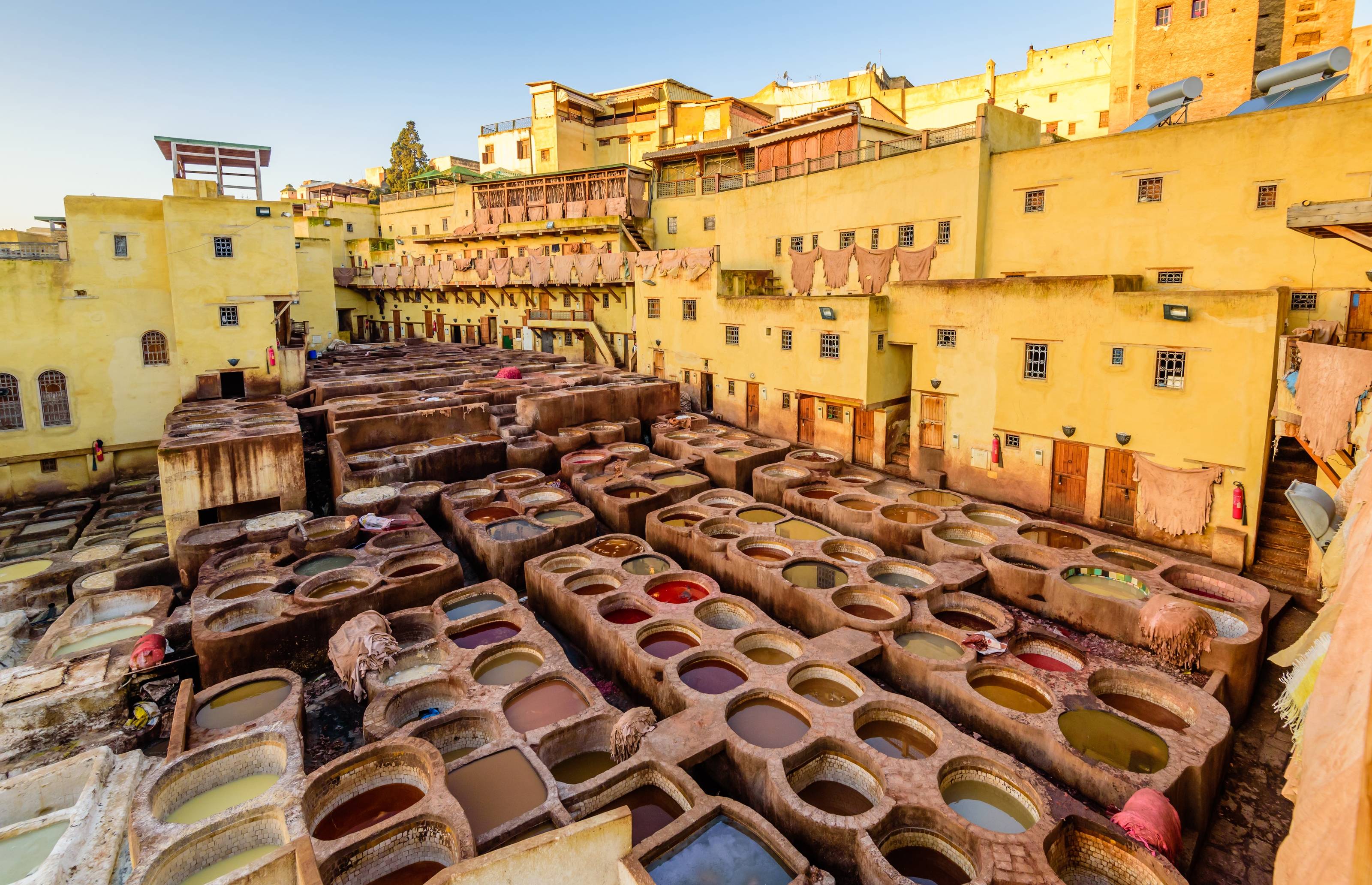 fez