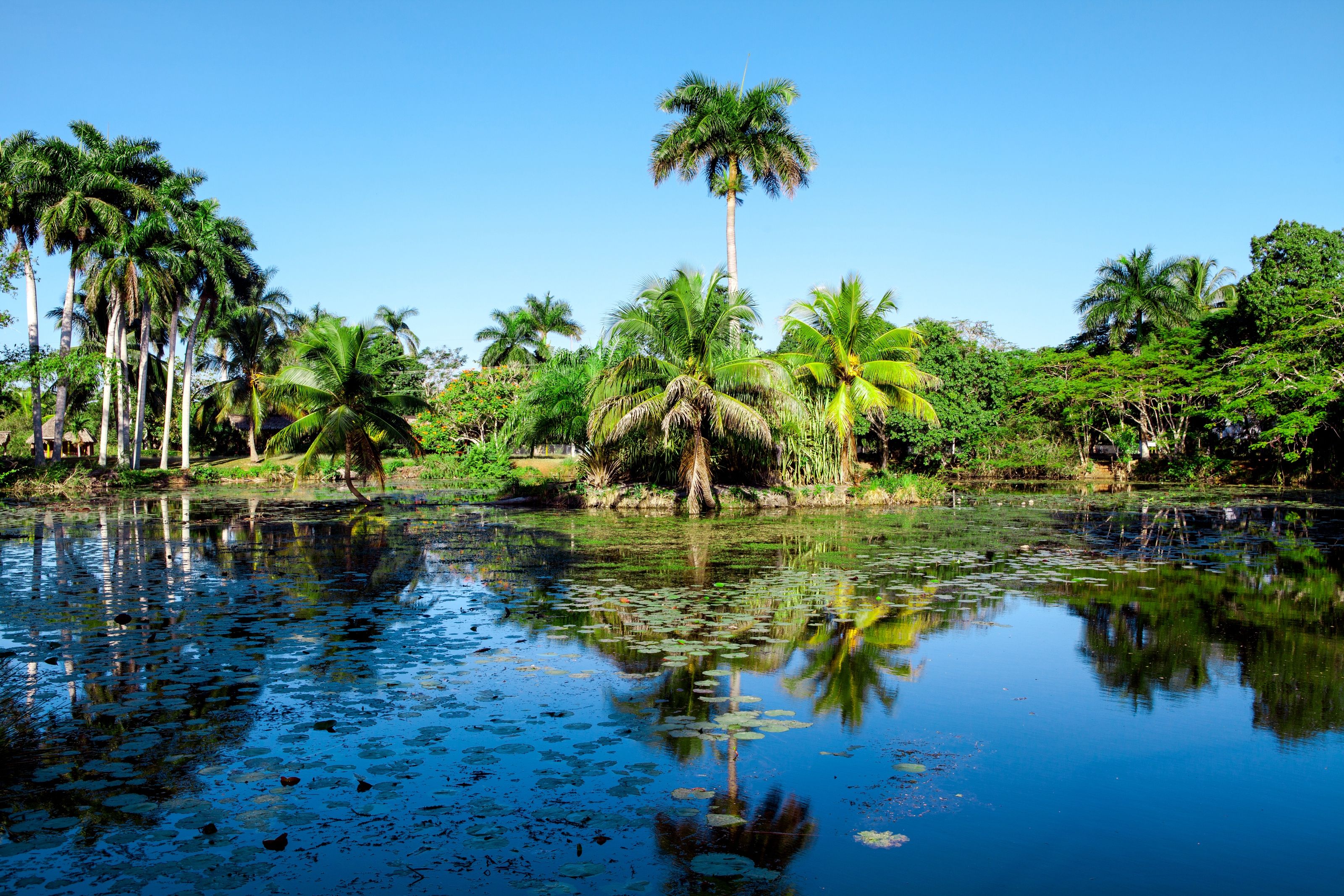 Ci Ricordano Una Baia Di Cuba