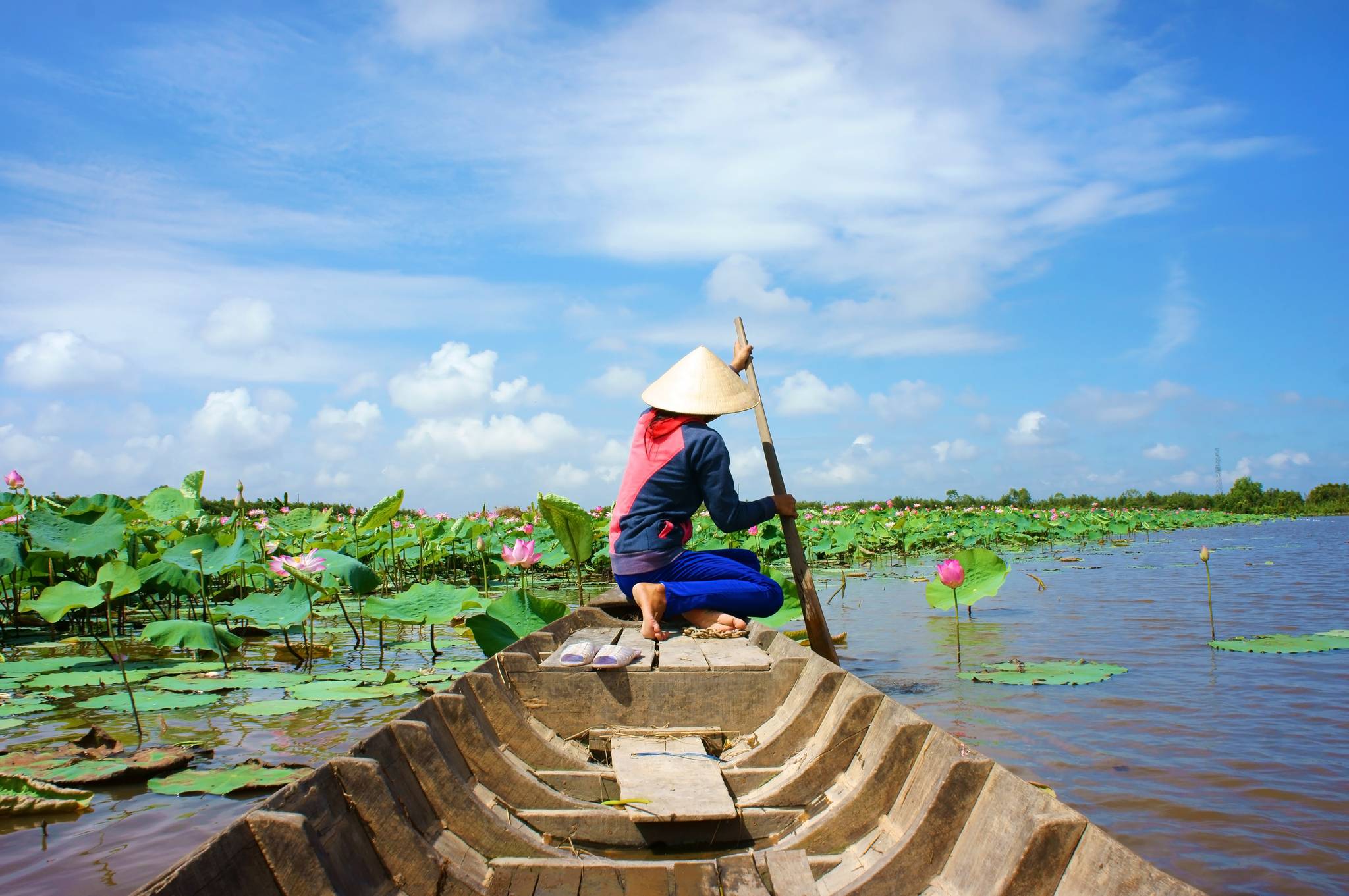 barca nel delta