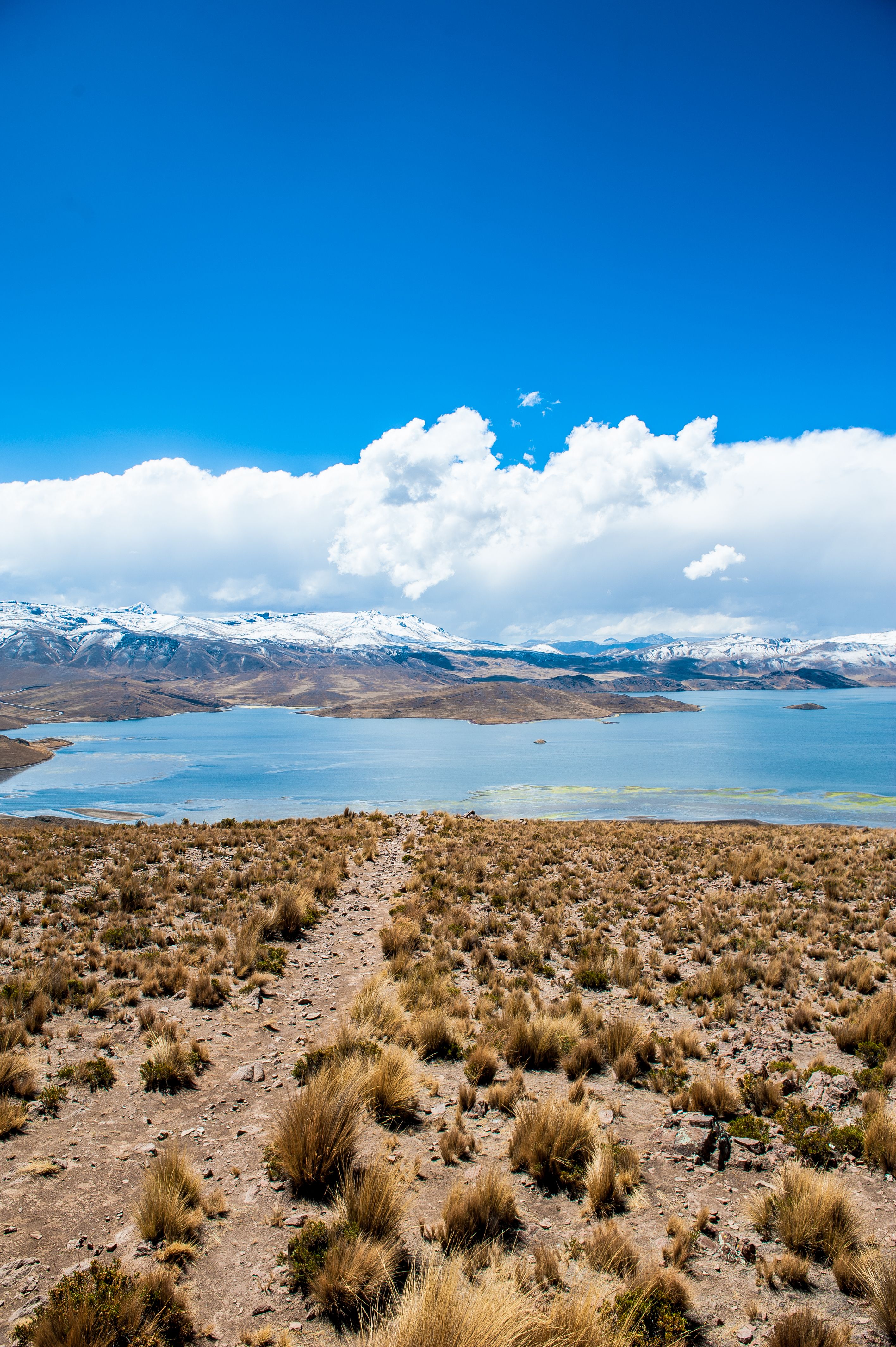 laguna lagunillas peru