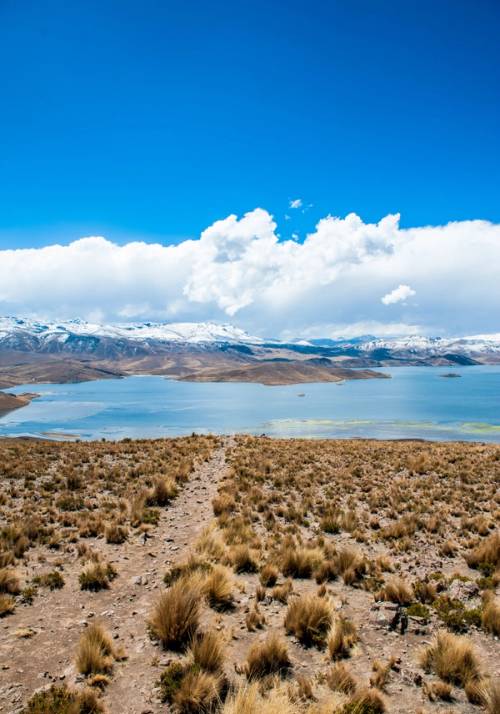 laguna lagunillas peru