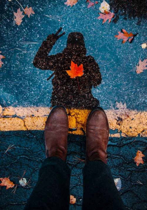 ragazza scatta foto su strada bagnata da pioggia foliage