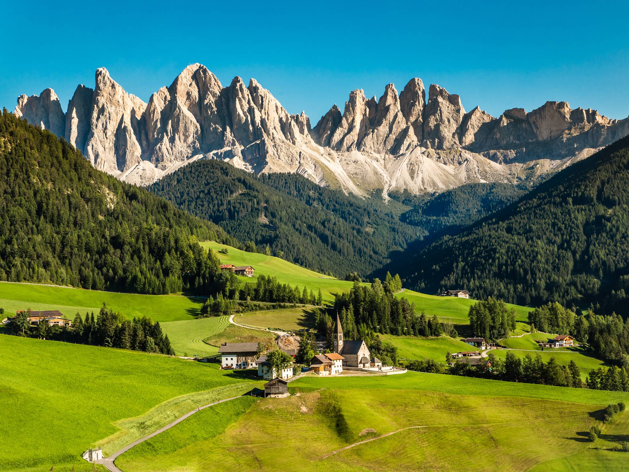 Folgaria e Alpe Cimbra: settimana nella natura cover