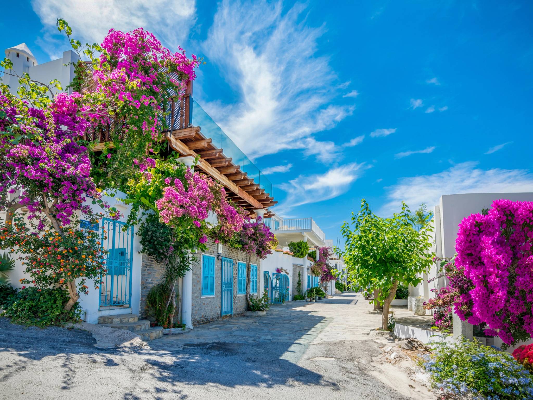 Tour di Istanbul e mare cover