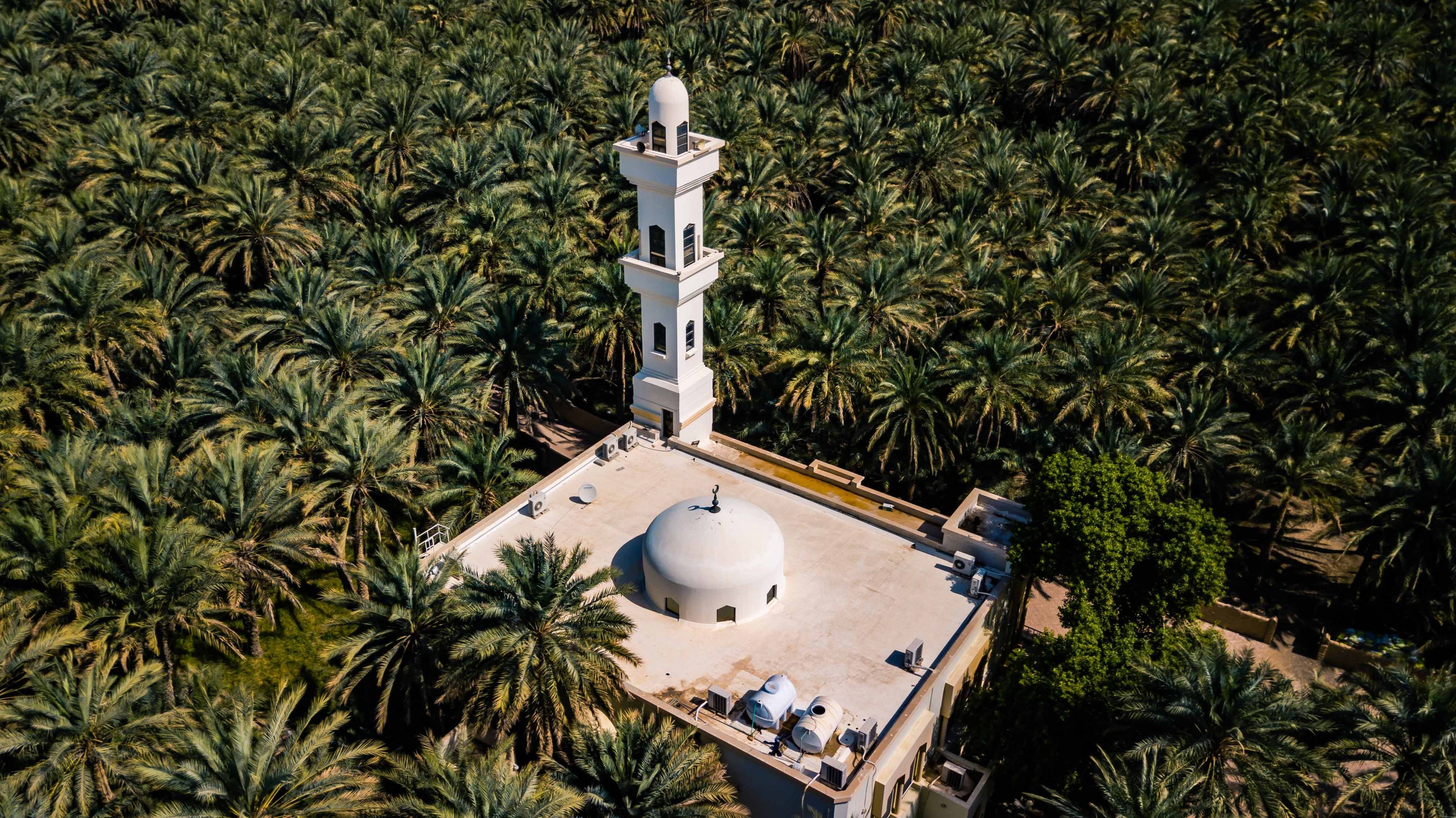 vecchia moschea nell oasi di al ain