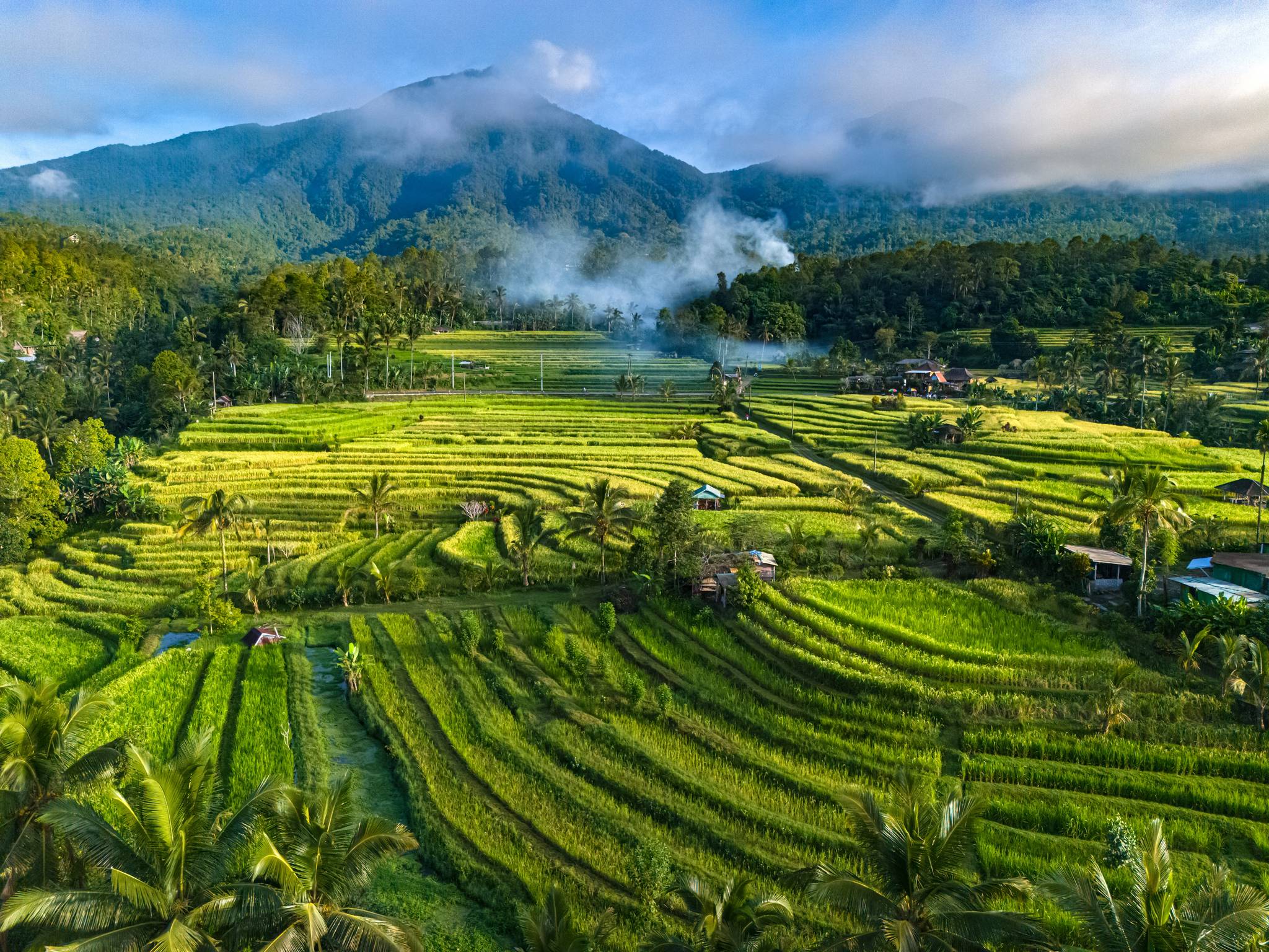 Sognando Bali cover