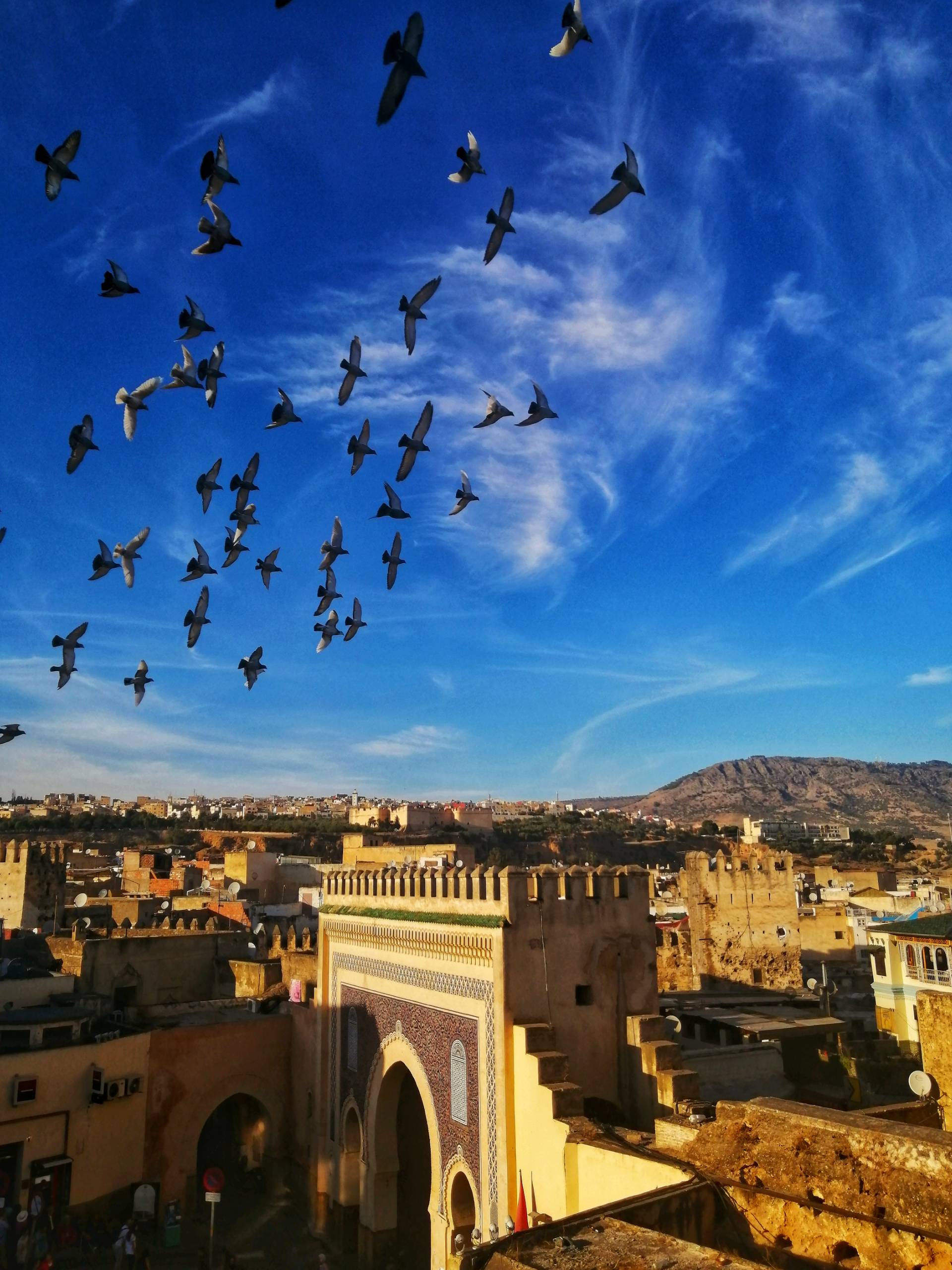 panoramic view of fez from above
