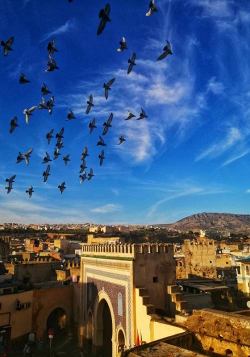 monuments of Fez