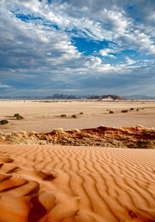 desert