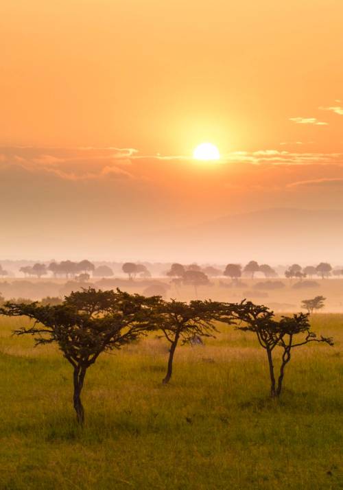 tramonto masai mara