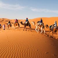escursione nel deserto con i cammelli marocco