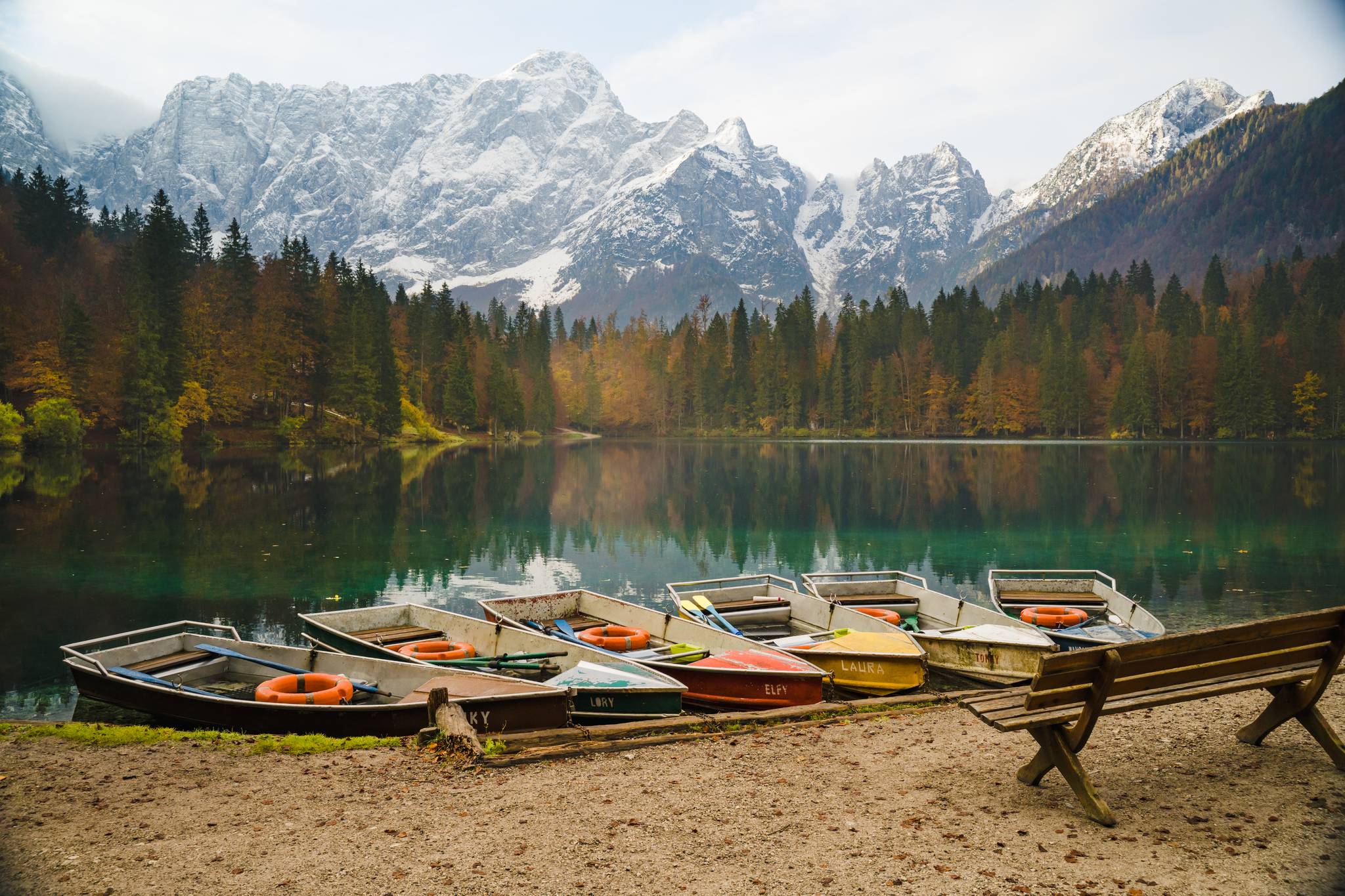 foresta di tarvisio in friuli