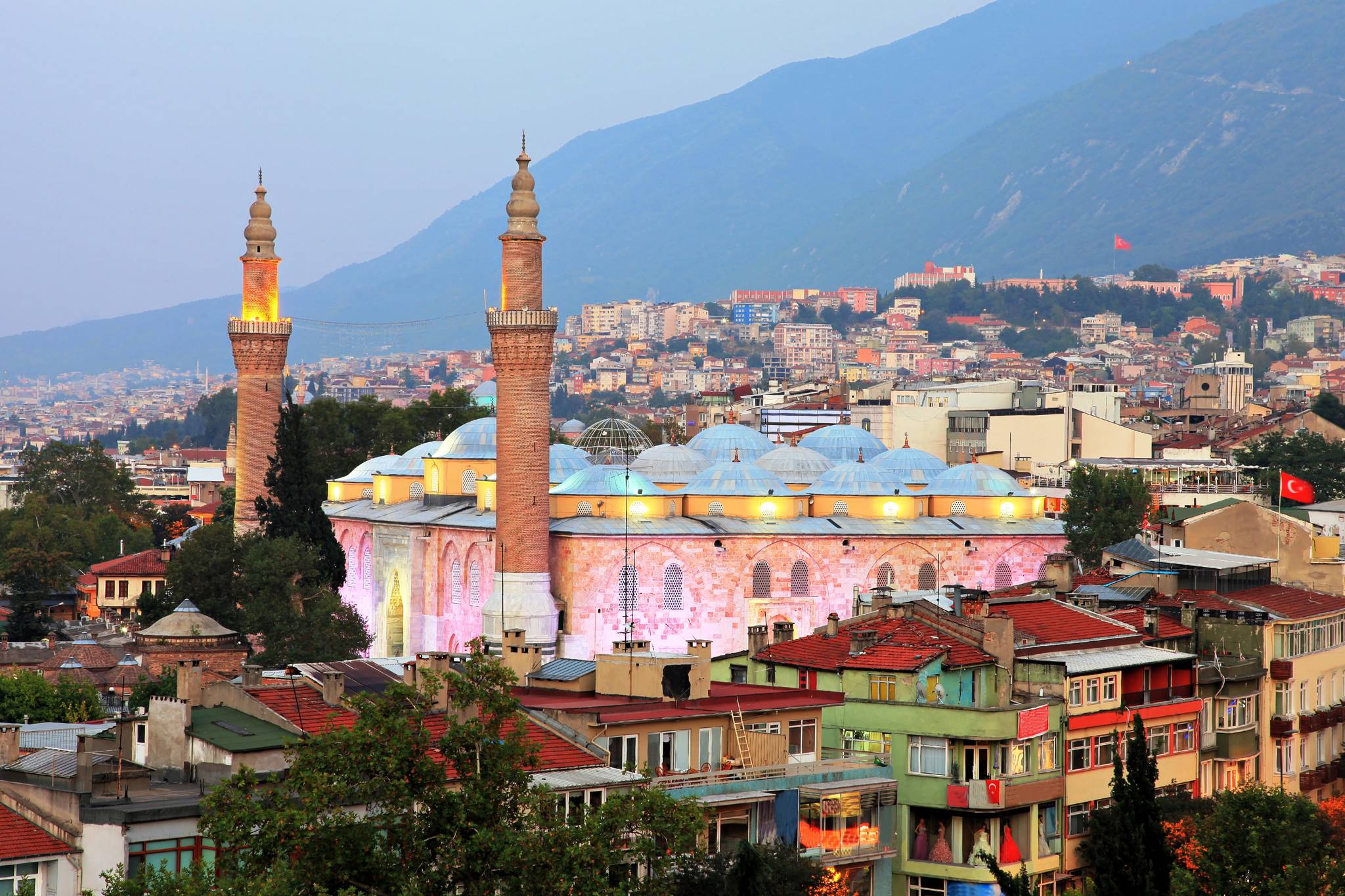 bursa