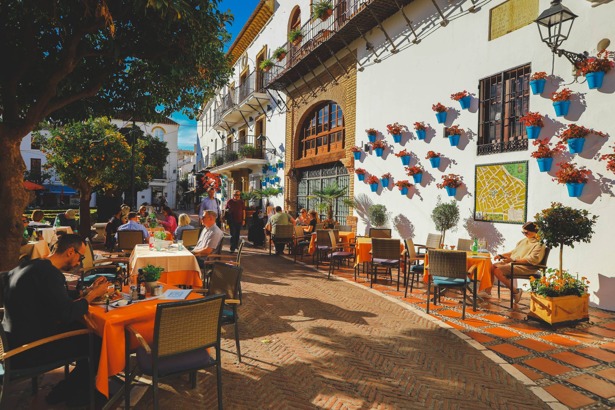 campi coltivati in andalusia all alba