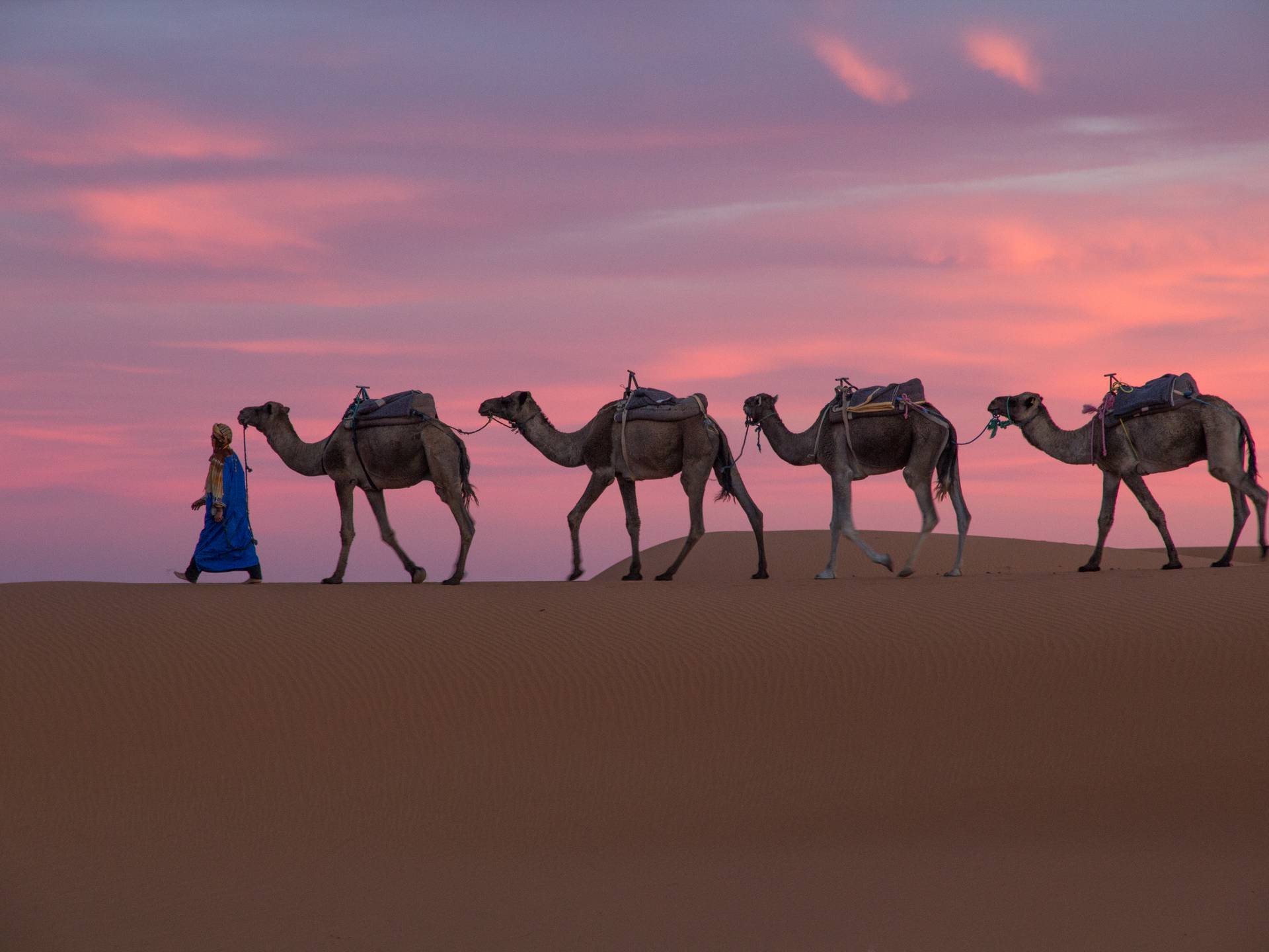 Exploring Morocco cover