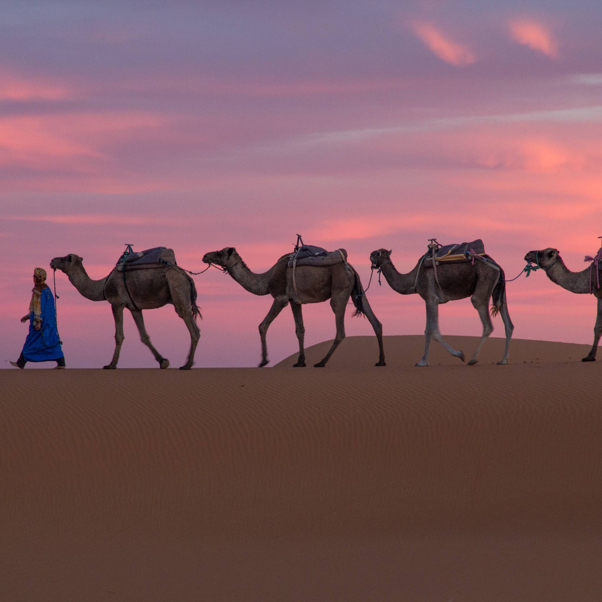 Tour del Marocco: città imperiali, deserto e kasbah