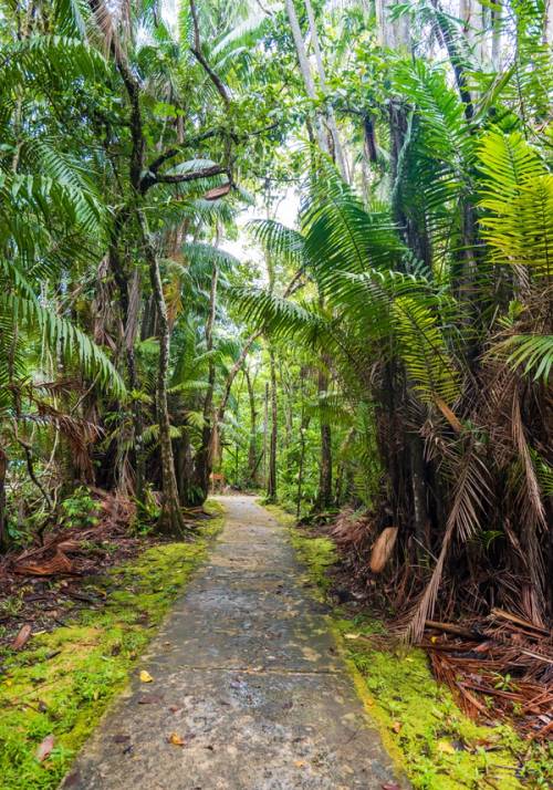 walk in Bako National Park