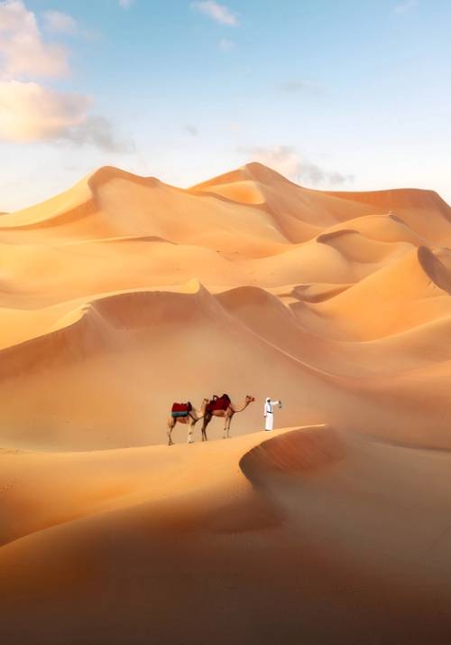 uomo con due cammelli nel deserto di dubai