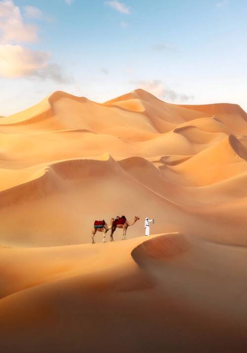 uomo con due cammelli nel deserto di dubai