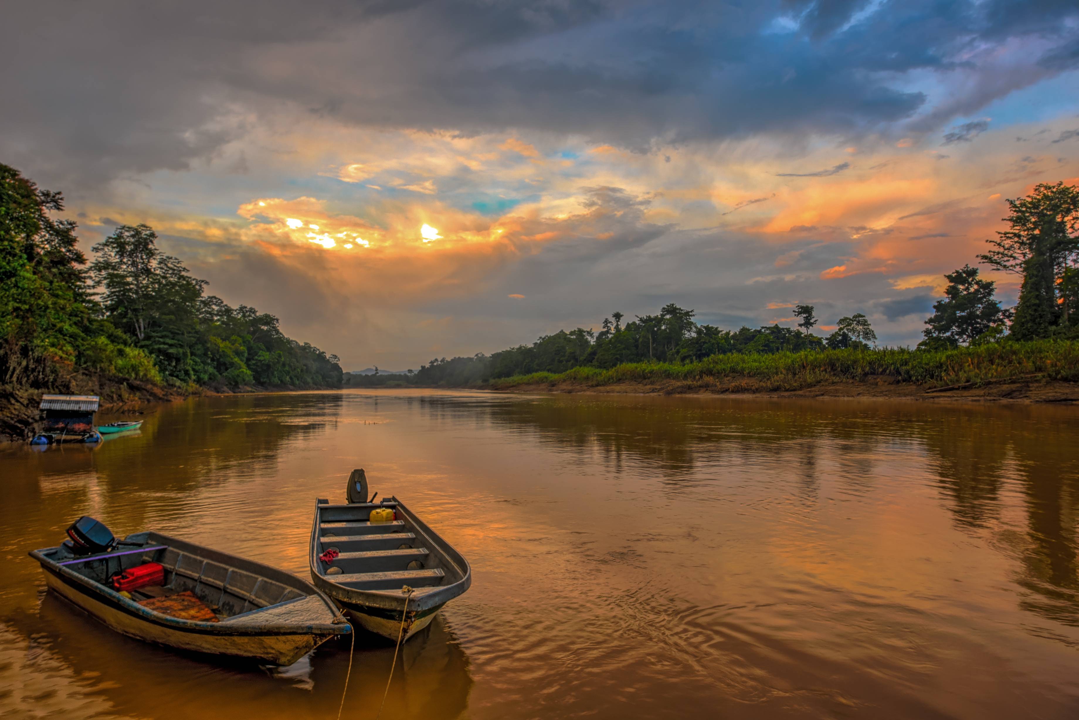 fiume e giungla del borneo malese