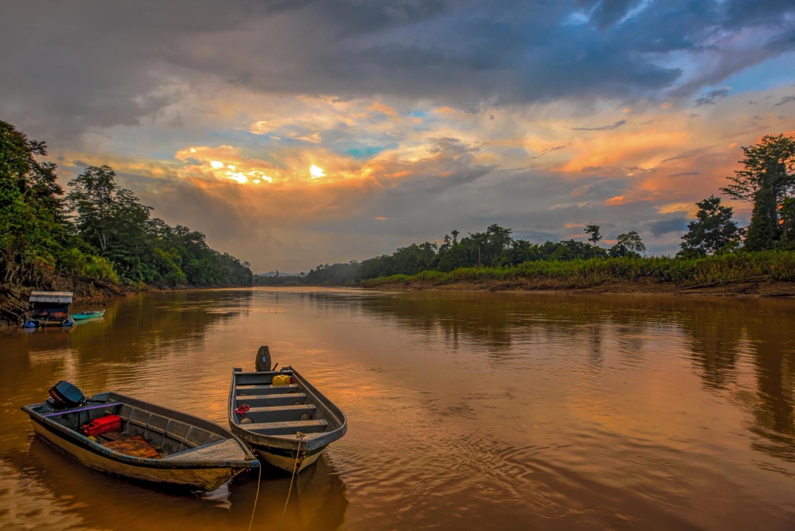 fiume e giungla del borneo malese