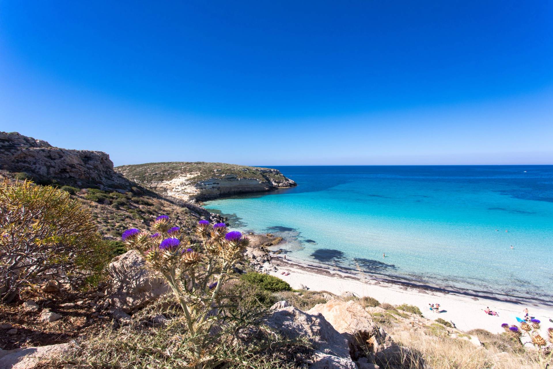 spiaggia bianca isola dei conigli lampedusa