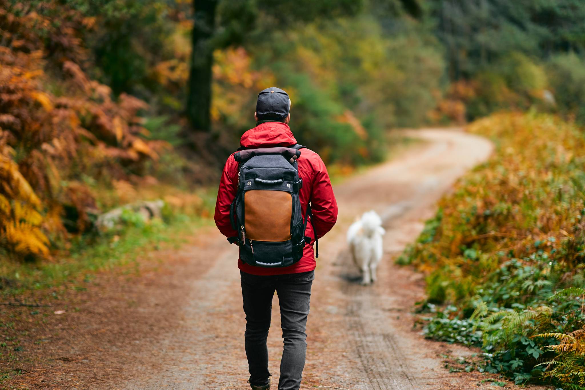 ragazzo in montagna con il cane