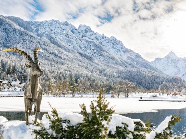 Slovenia sulla neve: Kranjska Gora cover