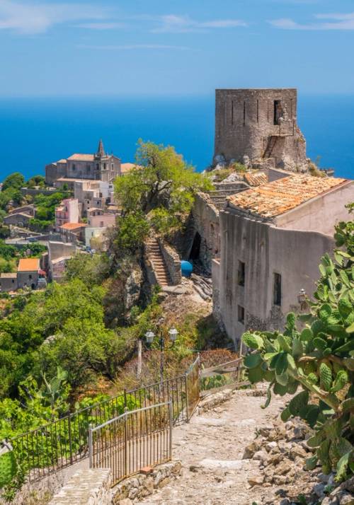 village of forza agro