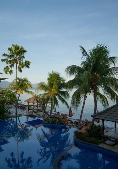 swimming pool with palm trees by the sea