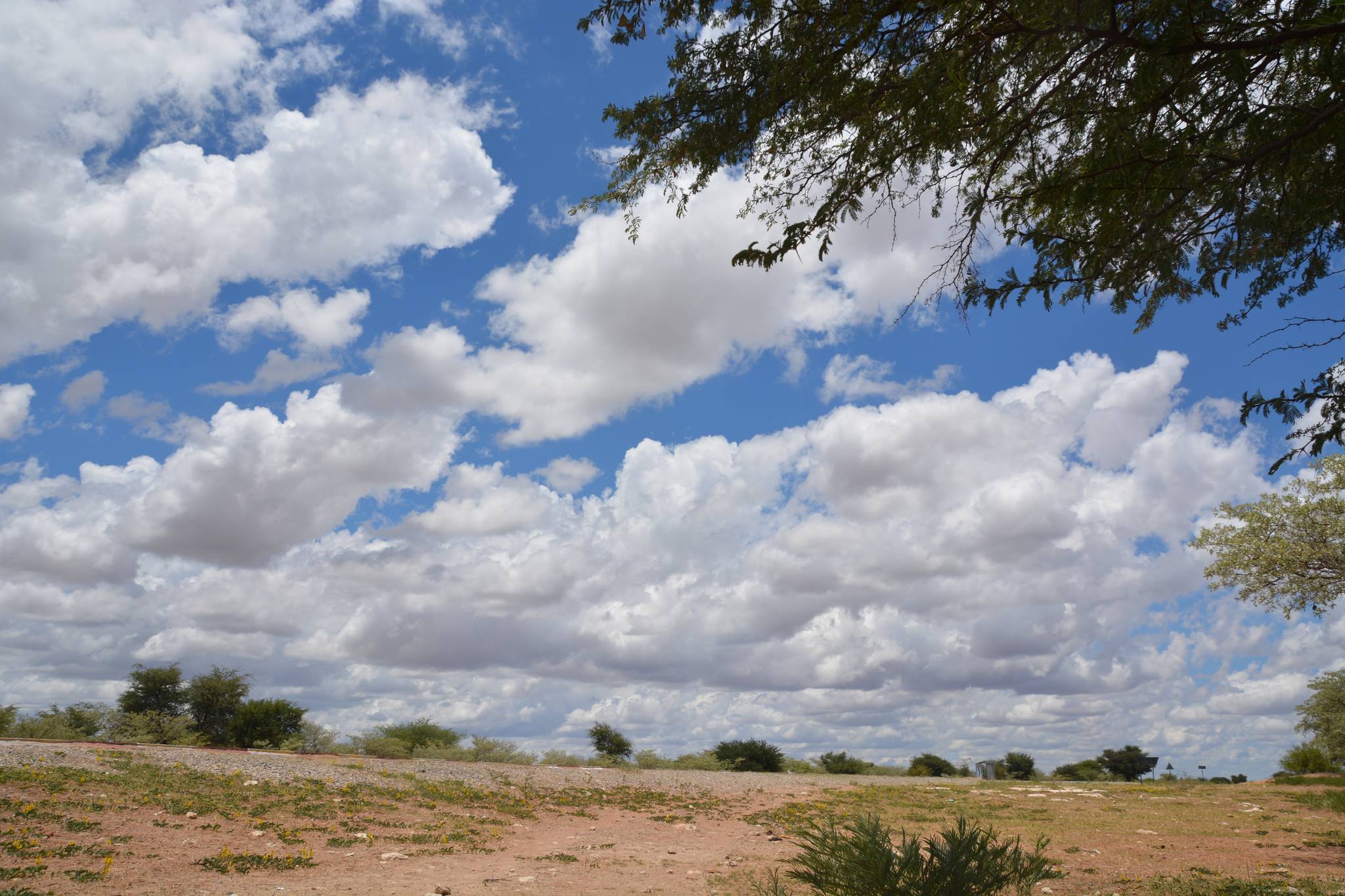 botswana