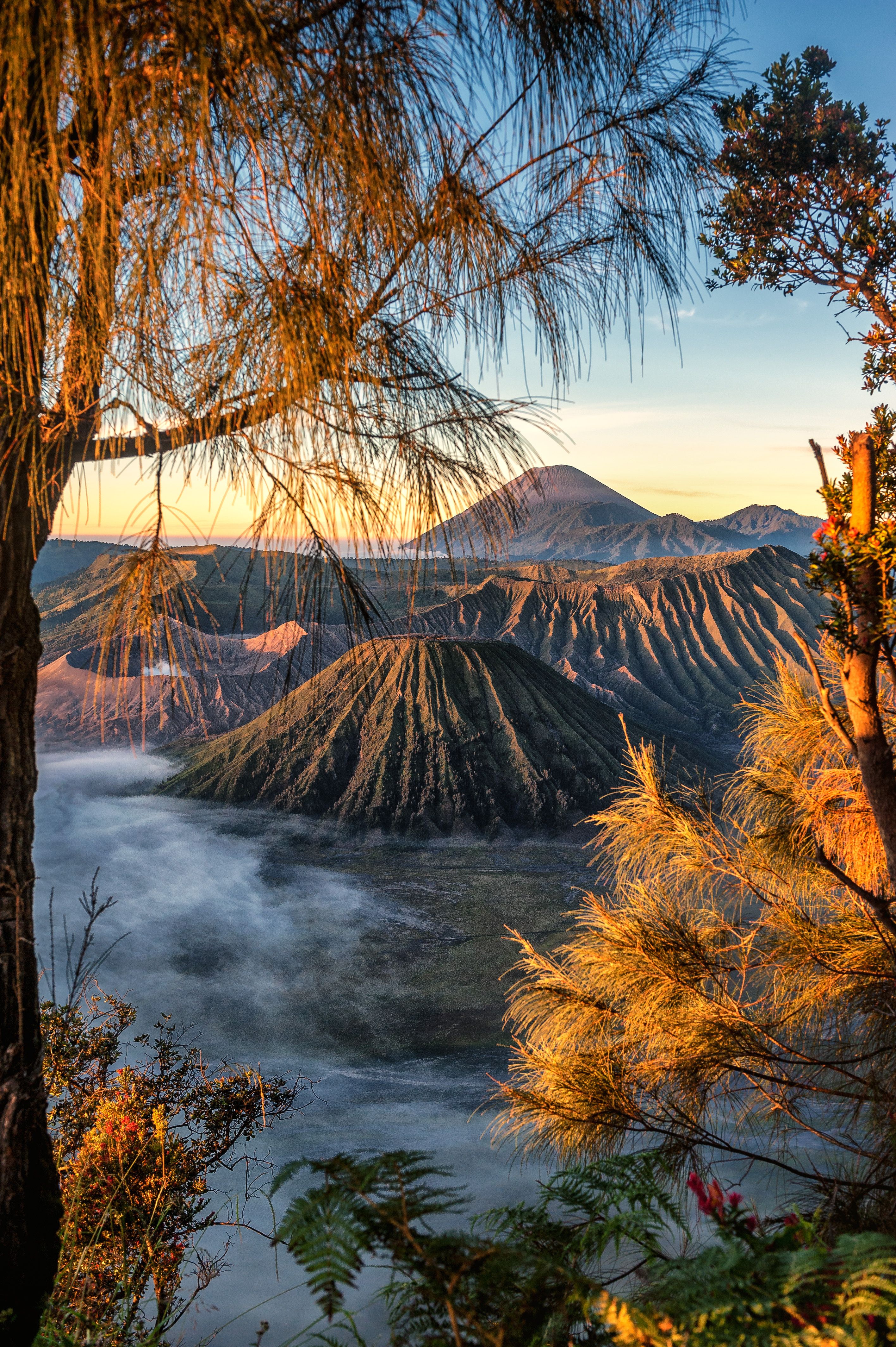 bromo 