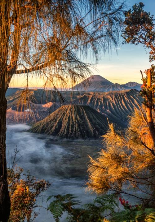 bromo