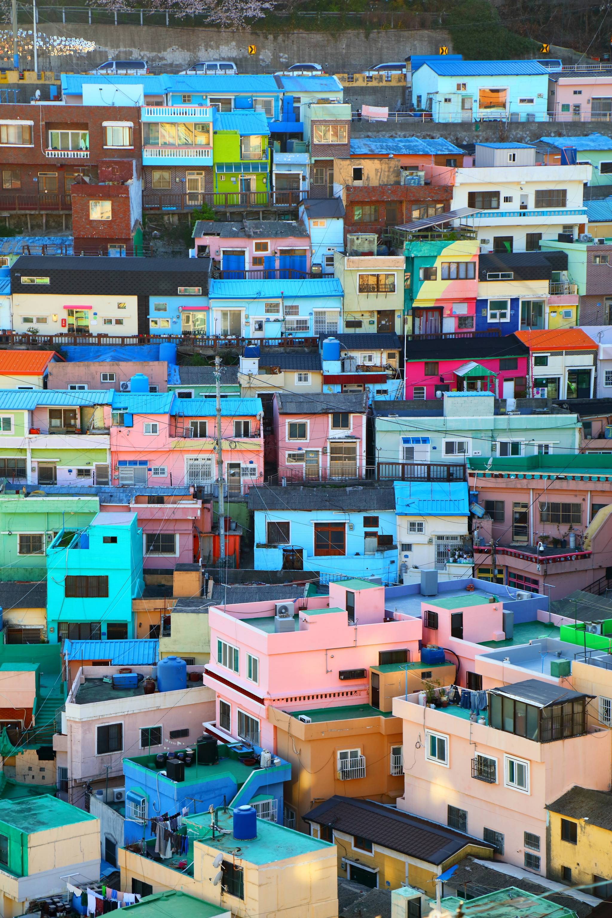 busan