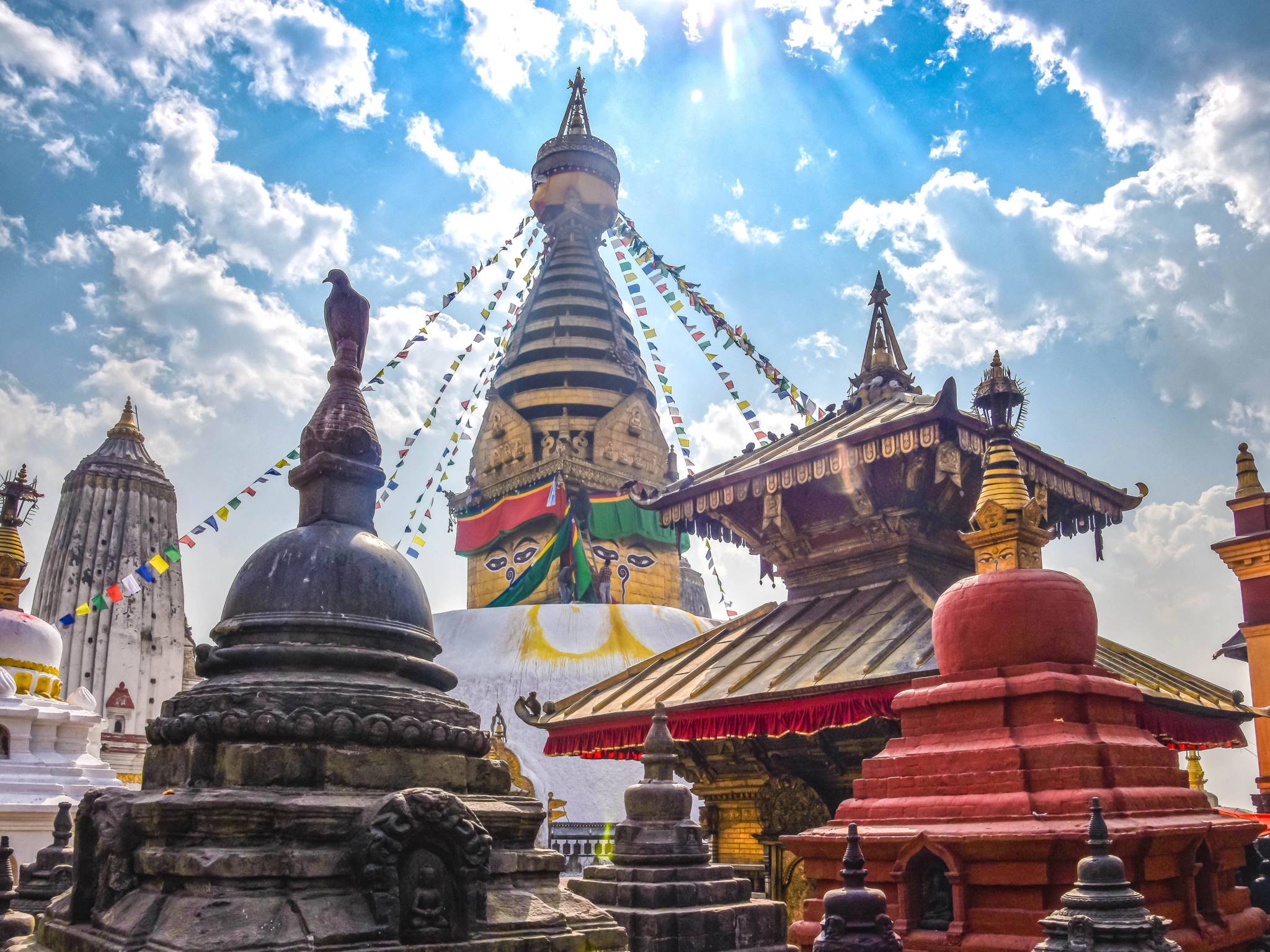 Tour del Nepal: Kathmandu, Chitwan e Pokhara cover