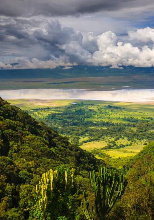 cratere ngorongoro
