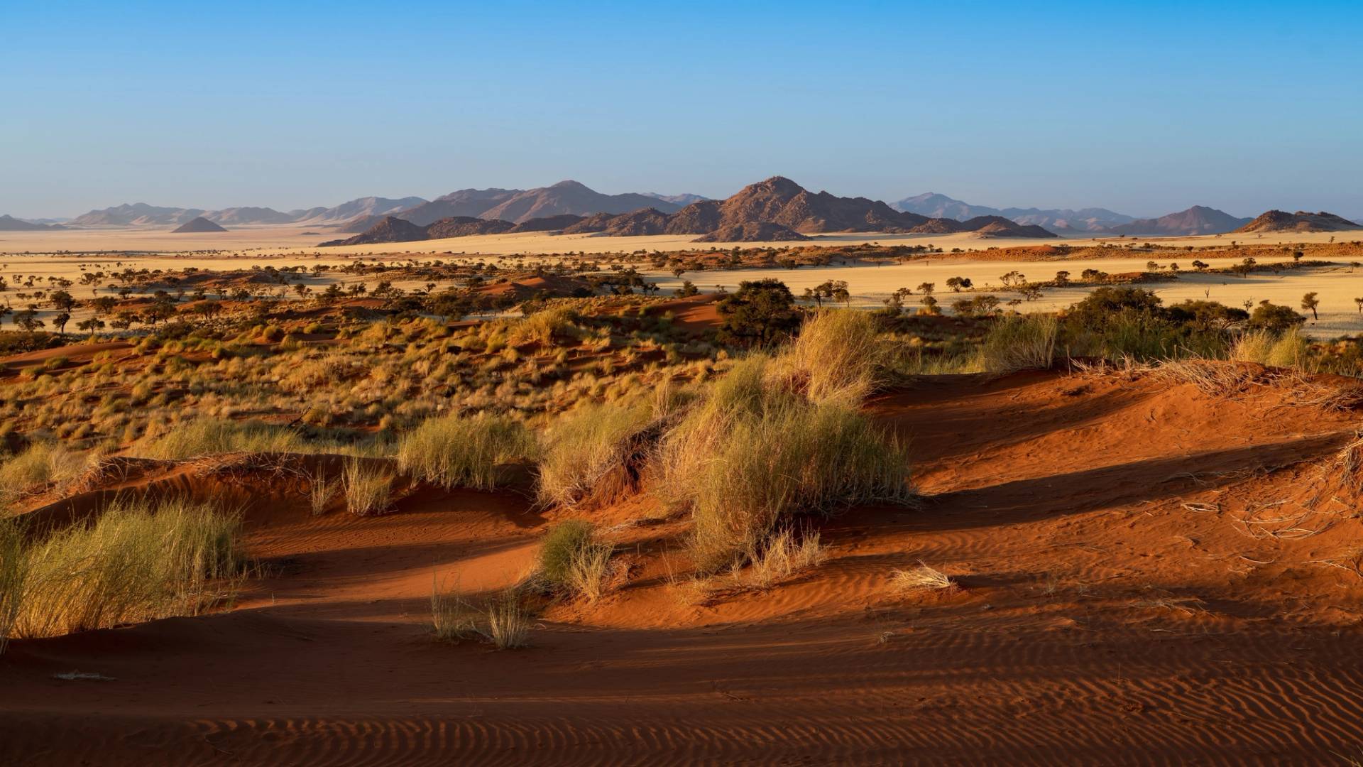 red desert