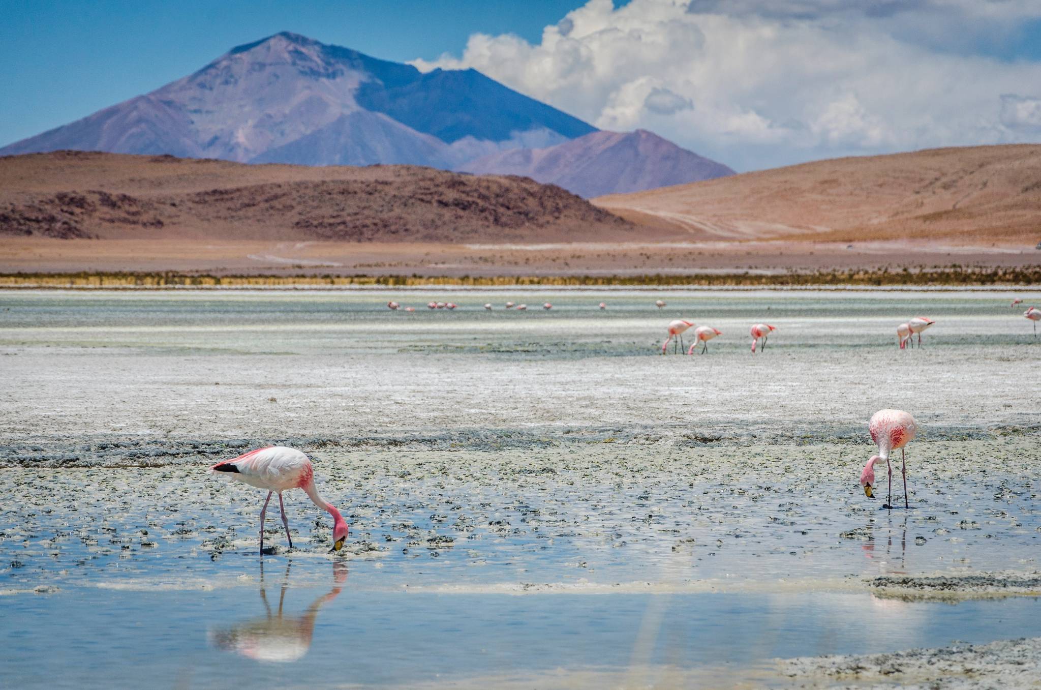 salar de atacama