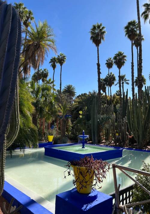 giardini majorelle marrakech